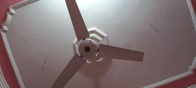 GFC Deluxe ceiling fan