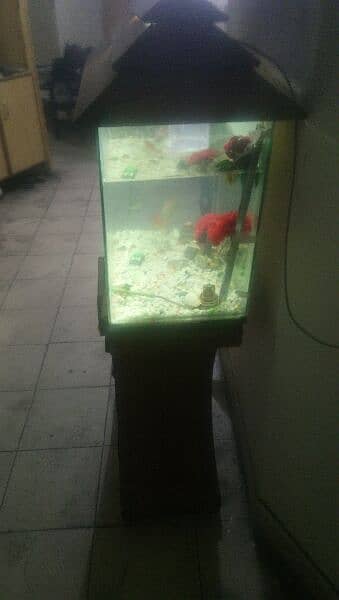 Used fish tanks on sale for sale near me