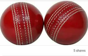 Hard Ball
Original :Rs1000 And Copy hard ball mean practice ball:380