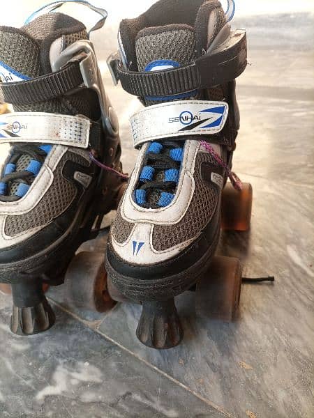 skating shoes 1