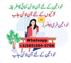 Online Home base Job only for Girls students