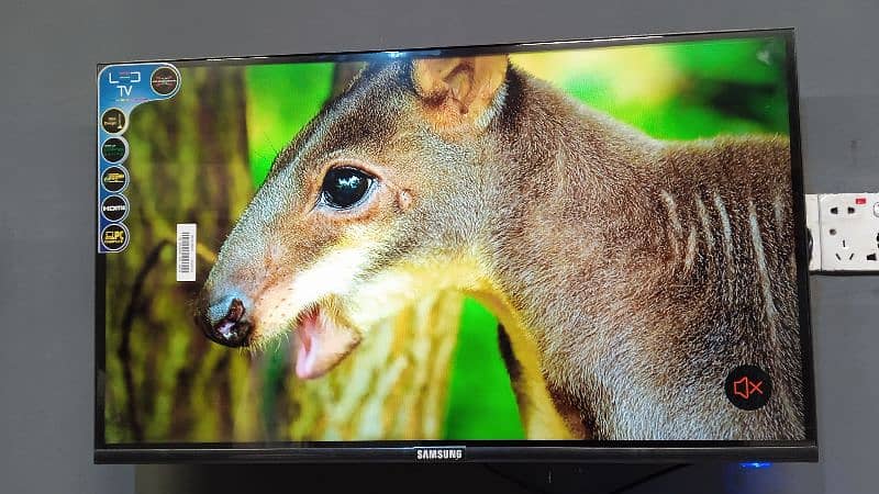 24 Inches to 85 inches All smart led Tv available in Wholesale 2
