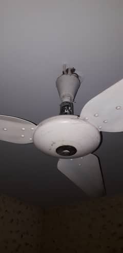 ceiling fan on sale