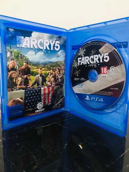 FARCRY 5 PS4 1