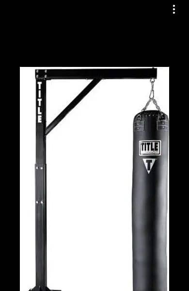 punching bag 1