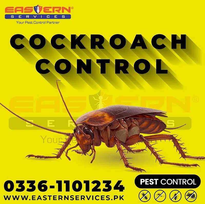 Deemak Control, Termite Control, Dengue Control, Bedbugs 5