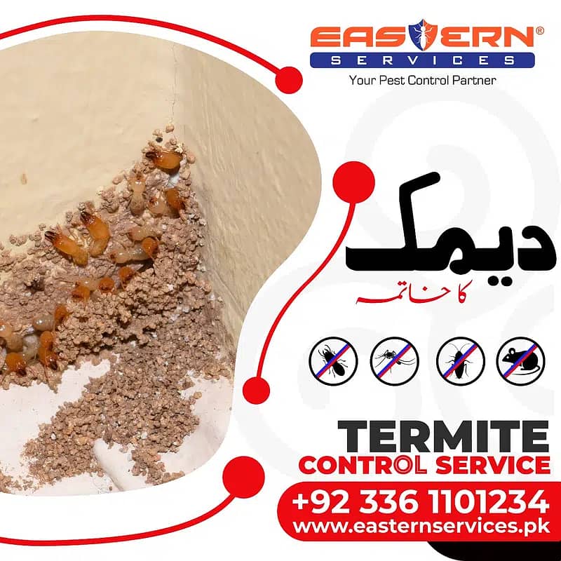 Deemak Control, Termite Control, Dengue Control, Bedbugs 2