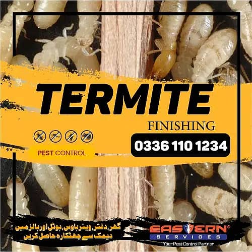 Deemak Control, Termite Control, Dengue Control, Bedbugs 7