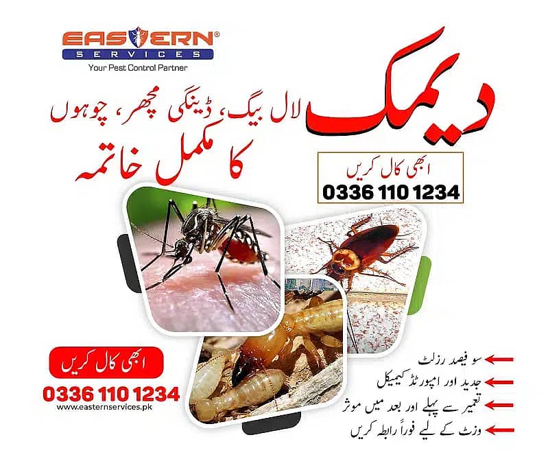 Deemak Control, Termite Control, Dengue Control, Bedbugs 13