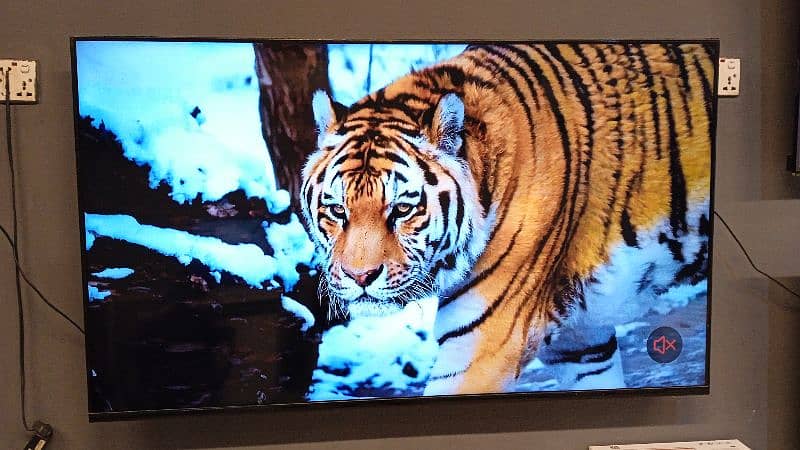 Today Sale Buy 55 inches smart Android led TV 3