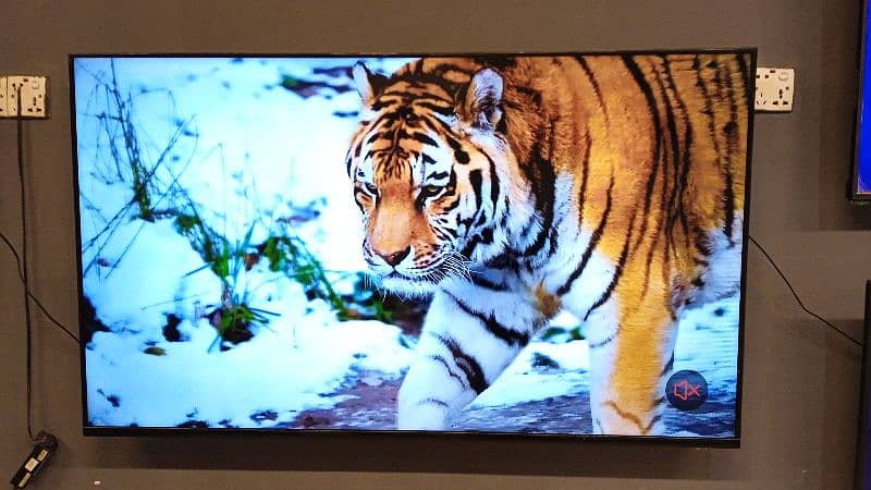 Today Sale Buy 55 inches smart Android led TV 4