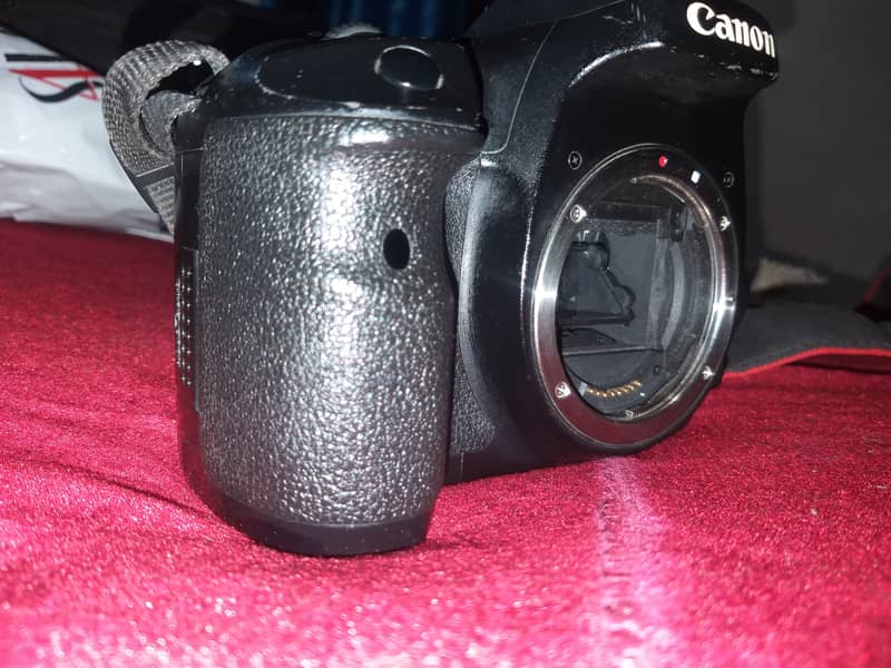 Professional DSLR Canon 7D 6