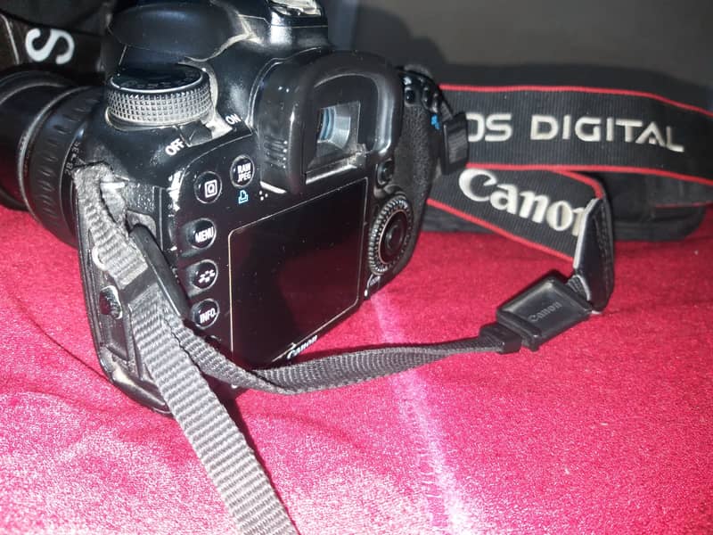 Professional DSLR Canon 7D 7