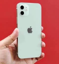 iphone 12 Limited Green Colour