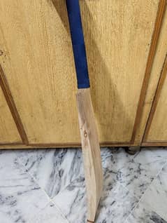 professional Cricket bat