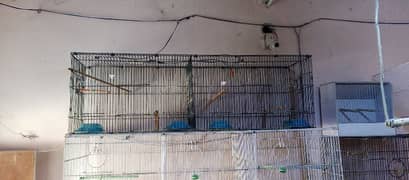 Many cages available for sale