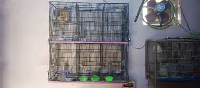 6 and 2 portion cage available for sale