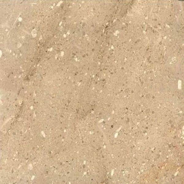 Floor/floor tiles/marble tiles/tarvera marble/desing 7