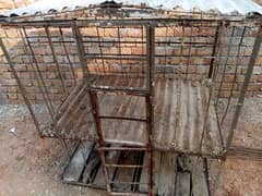 Hen / parrots/ Birds cage (iron made)