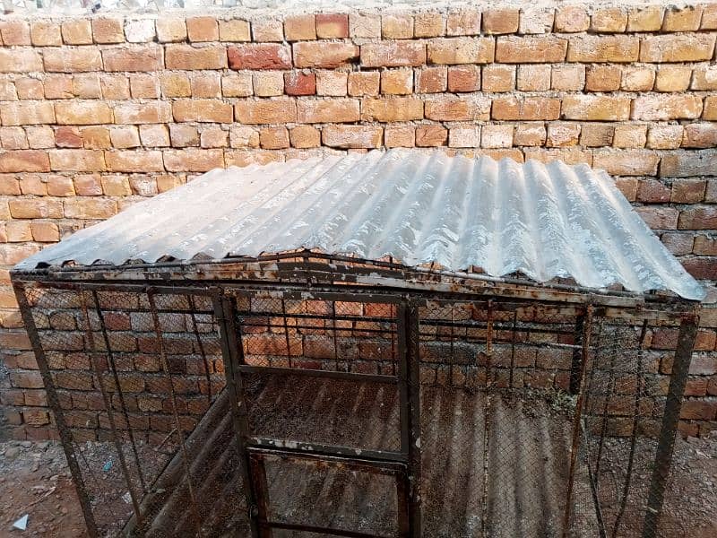 Hen / parrots/ Birds cage (iron made) 1