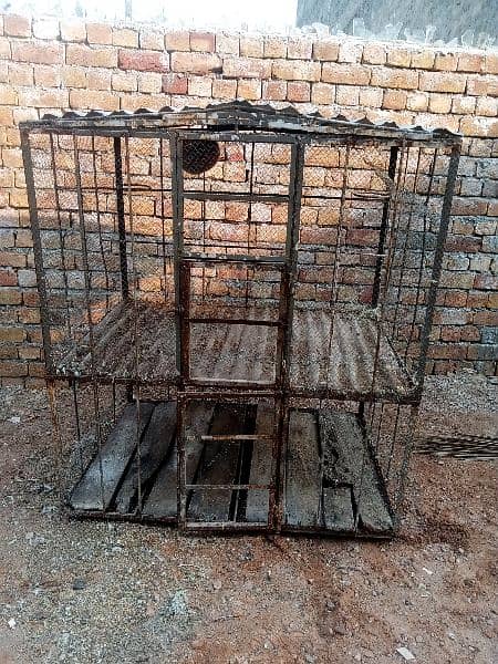 Hen / parrots/ Birds cage (iron made) 4