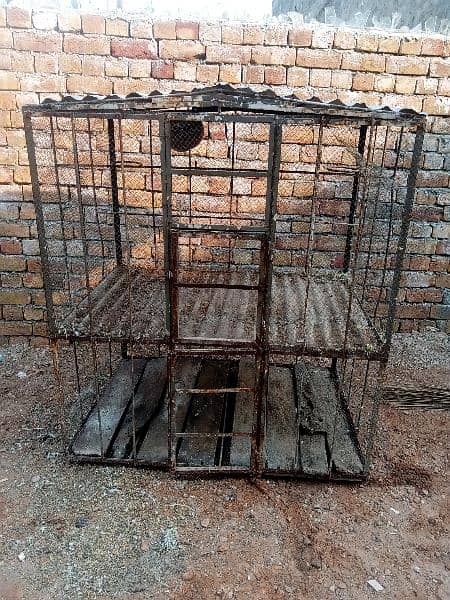 Hen / parrots/ Birds cage (iron made) 5