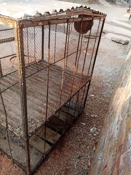Hen / parrots/ Birds cage (iron made) 6