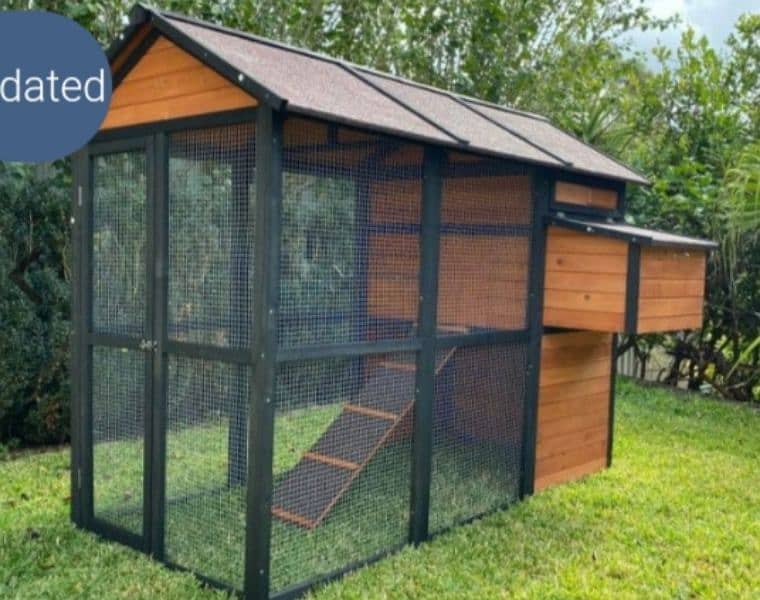 birds chicken dog cats animal pet coops and cages 4