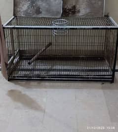 heavy weight raa and grey parrot breeding cage