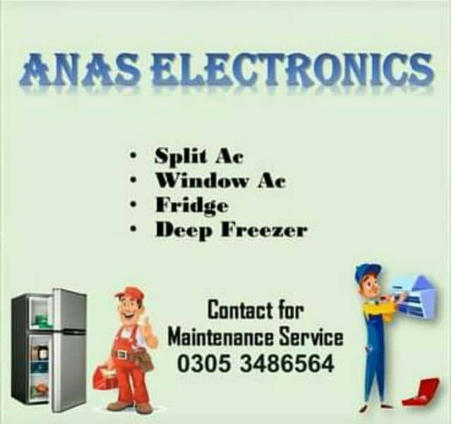 Anas electronics 0