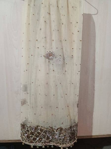 walima tail gown with round purse 5