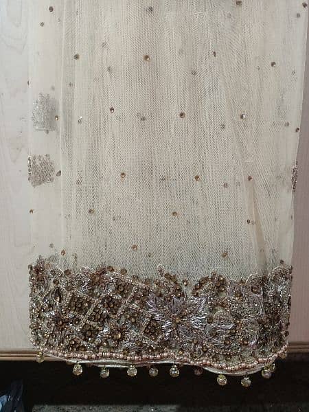 walima tail gown with round purse 6