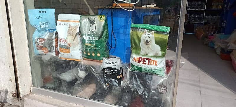 Cat Food in reasonable prices 3