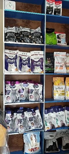 Cat Food in reasonable prices
