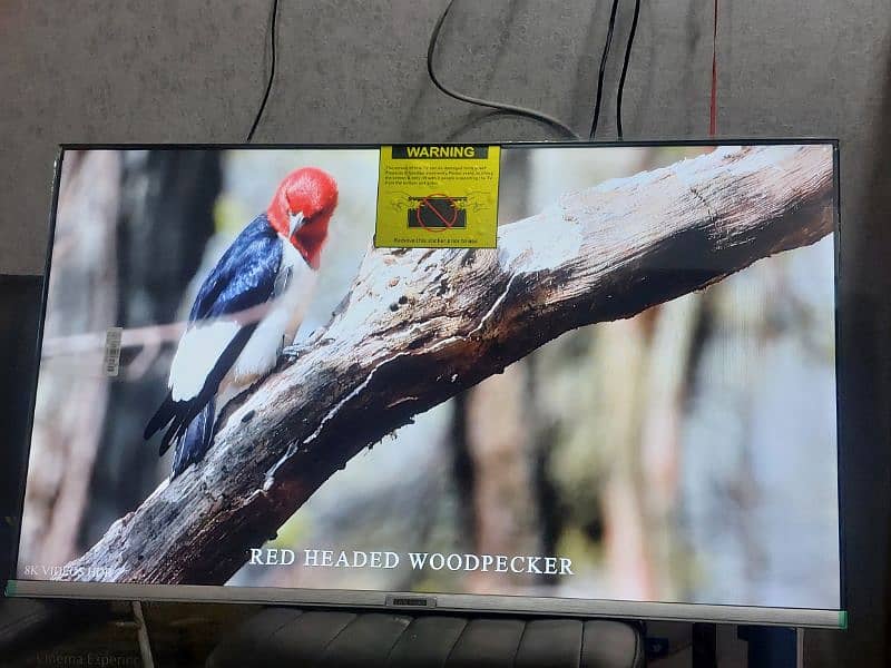 55 INCH ANDROID LED LATEST MODEL NEW  WITH WARRANTY CALL 03221257237 1