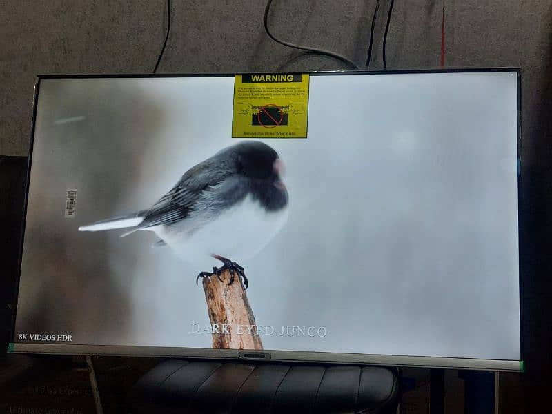 55 INCH ANDROID LED LATEST MODEL NEW  WITH WARRANTY CALL 03221257237 5