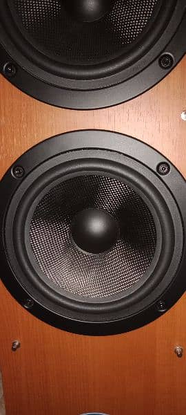 Cypress Active Subwoofer Dual 8 inches 6