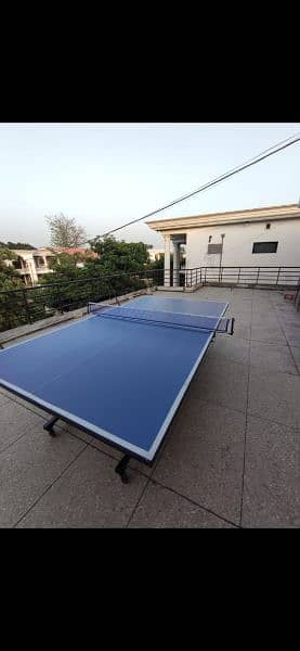 Table Tennis Table 2