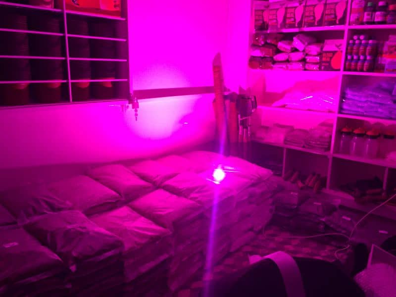 Grow light 50w 2