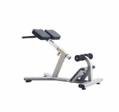 Commercial Roman chair gym and fitness machine