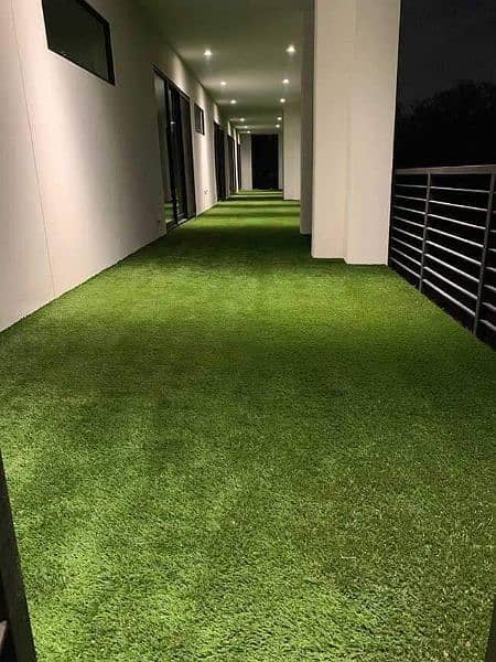Artificial Grass  Disn  House 3