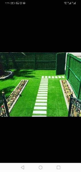 Artificial Grass  Disn  House 6