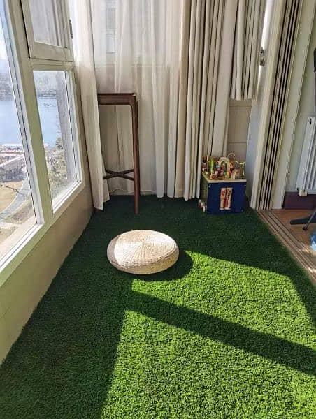 Artificial Grass  Disn  House 8