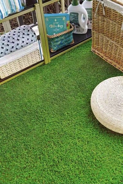 Artificial Grass  Disn  House 9