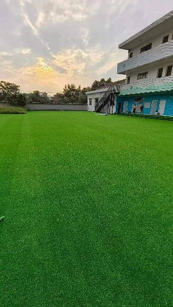 Artificial Grass  Disn  House 10