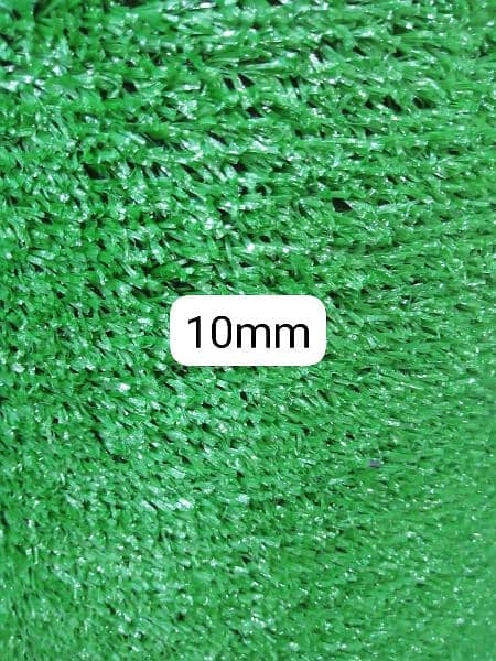 Artificial Grass  Disn  House 11