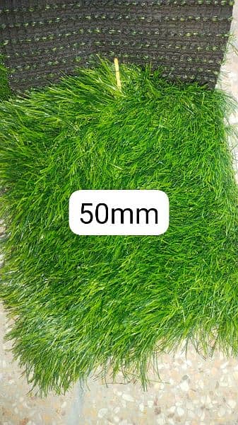 Artificial Grass  Disn  House 13