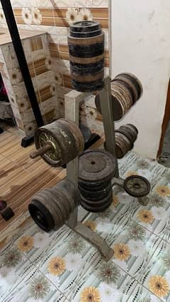 gym plates 1000 kg