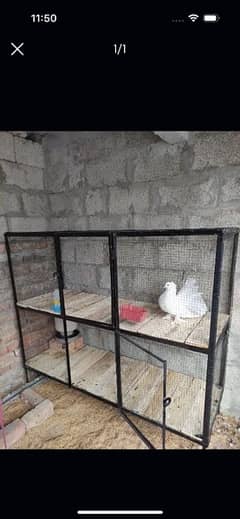 big hen cage 5ft
