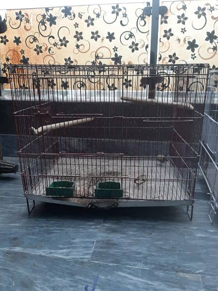 birds cage for sale 2